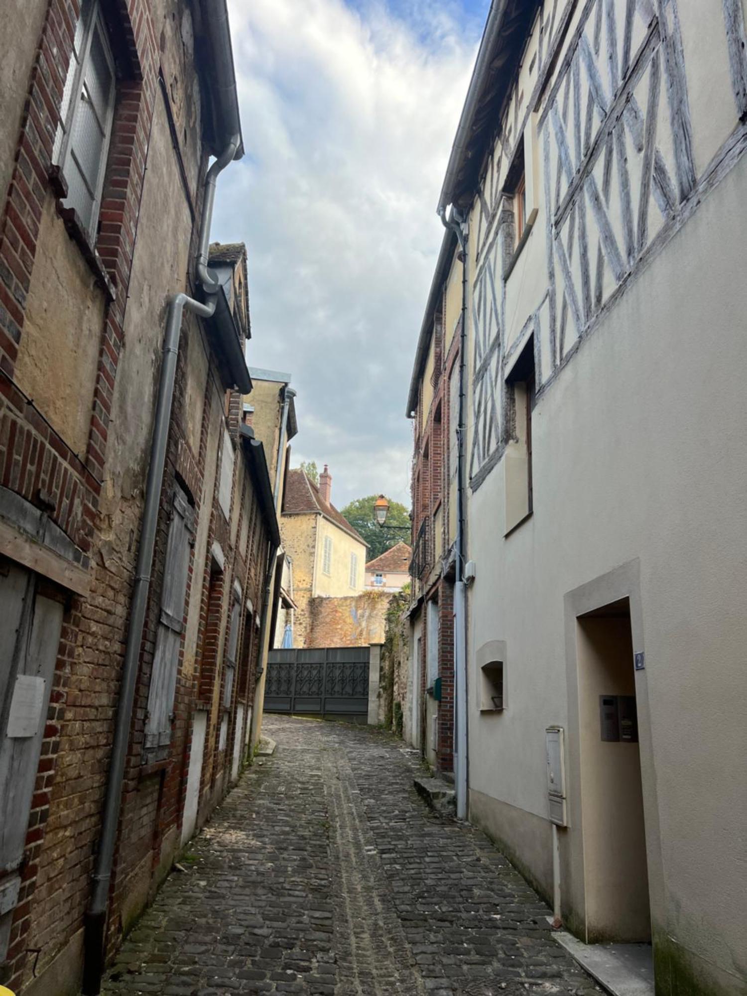 Le Citadin Bourguignon Casa de hóspedes Toucy Exterior foto